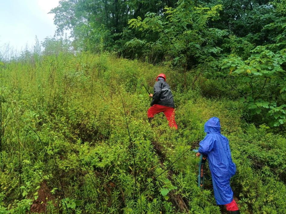 6643fe2b96ed05068a191f1b71b53a2