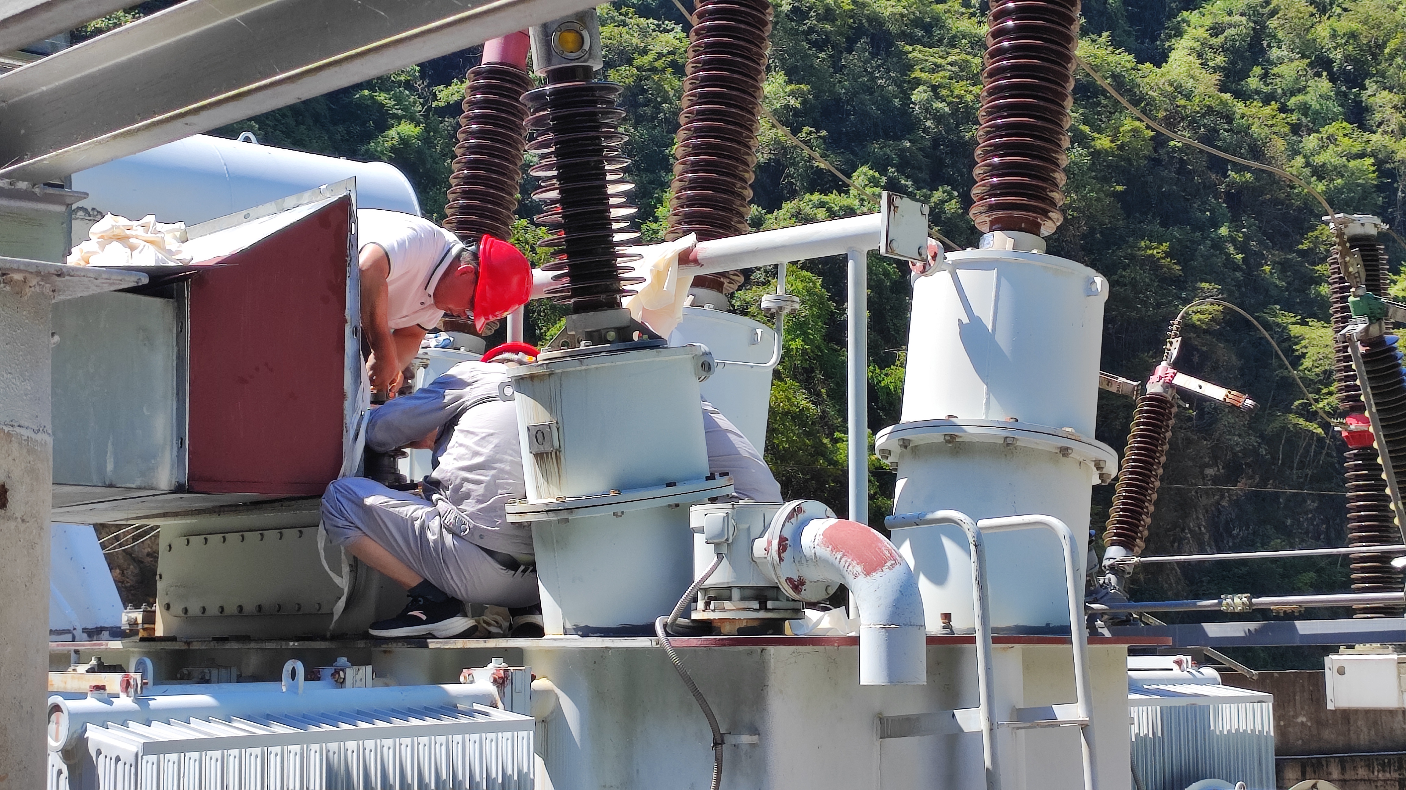 3195c903bedba2bf8f6a5ddf4224d42